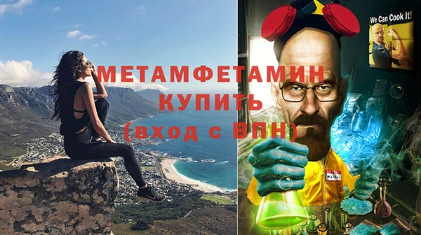 прущие грибы Лабытнанги