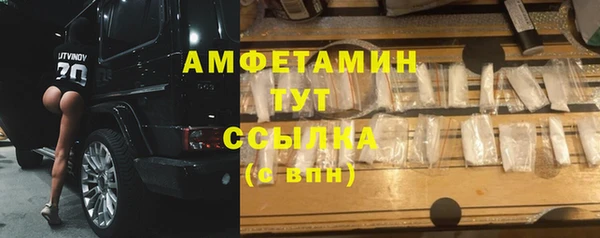 прущие грибы Лабытнанги
