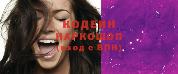прущие грибы Лабытнанги
