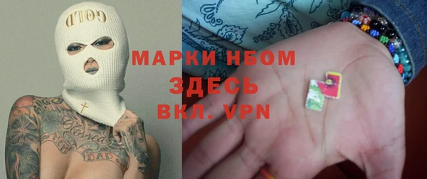 прущие грибы Лабытнанги