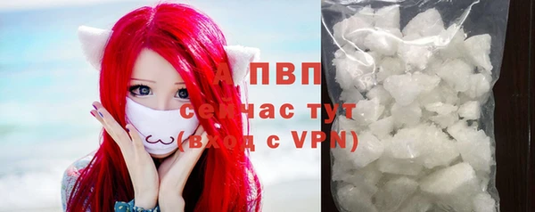 хмурый Ладушкин