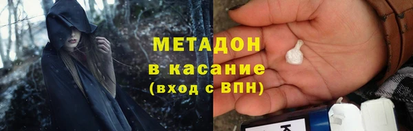 прущие грибы Лабытнанги