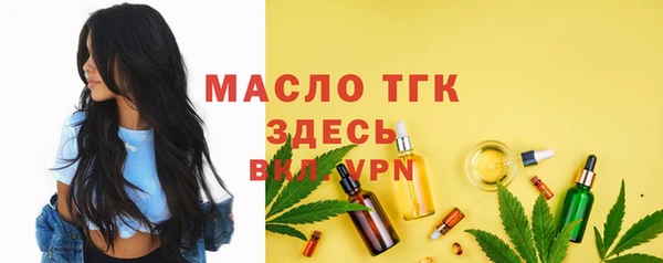 прущие грибы Лабытнанги