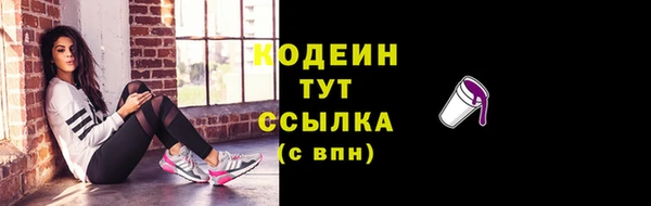 прущие грибы Лабытнанги