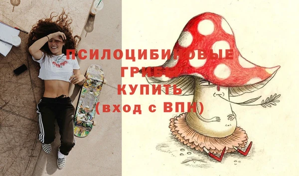 прущие грибы Лабытнанги