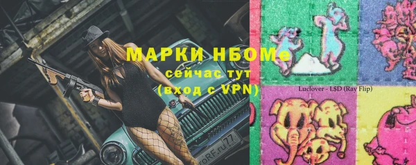 хмурый Ладушкин