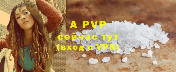 крисы Кулебаки