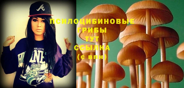 хмурый Ладушкин