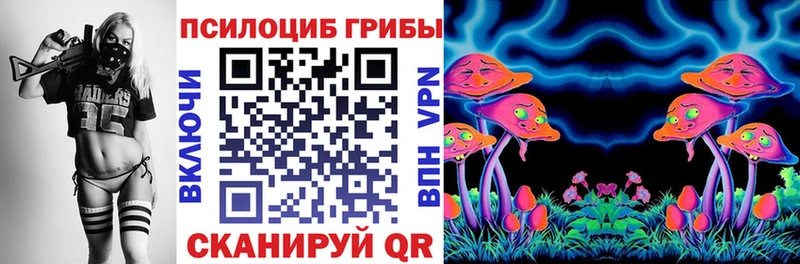 Псилоцибиновые грибы ЛСД  Купить где  Зубцов 